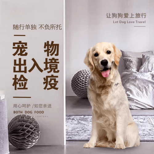 宝鸡市宠物托运到哥伦比亚猫狗宠物入境规定和