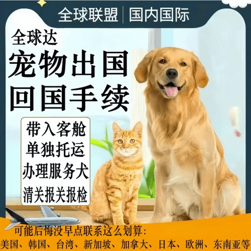 宝鸡市宠物托运到柬埔寨宠物入境规定和要求
