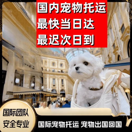 宝鸡市到澳大利亚（澳洲）宠物入境规定和要求